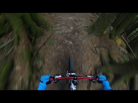 Neureuth - Bayernweg