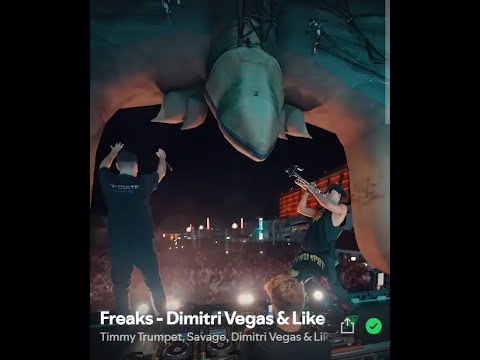 Freaks x The Hum x Freed from desire - Dimitri Vegas & Like Mike Tomorrowland 2024 mashup