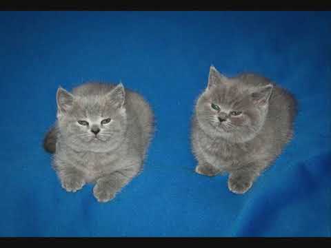 just the two of them