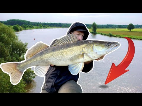 Zander und Hechtangeln im Herbst. Schnelle Ufertour.