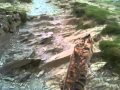 Brandy S Travels Ascending Cat Bells