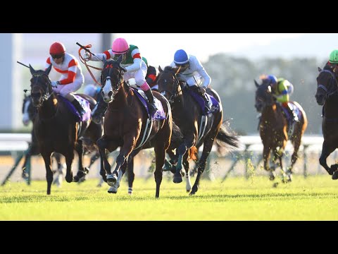 NAMUR (Kota Fujioka) - G1 Japan Mile Championship 2023
