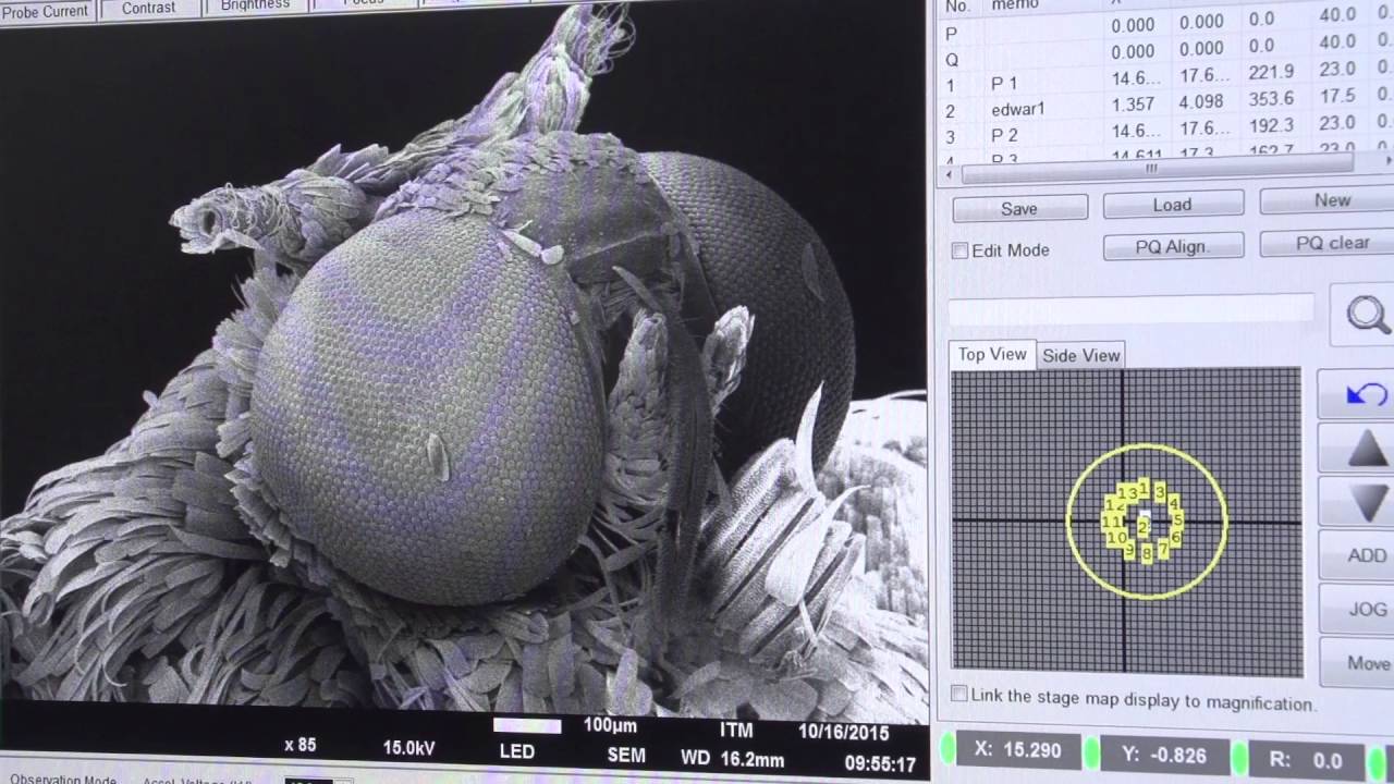 Microscopio electrónico de Barrido del ITM
