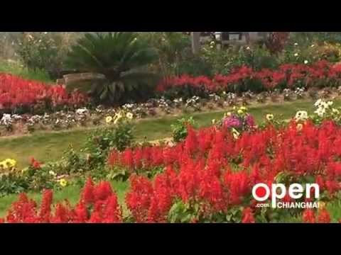 Queen Sirikit Botanic Garden (QSBG)