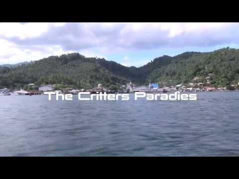 Lembeh Strait - The Critters Paradies