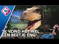 Oog in oog met de beroemde T-Rex Trix in Naturalis - OMROEP WEST