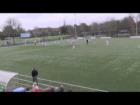 Nieuwland B1 - Baarn B1: Samenvatting 1ste helft