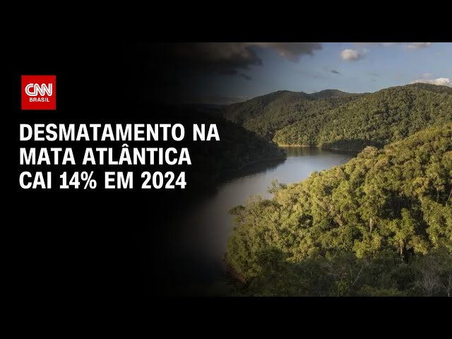 Brasil registra queda de 14% em desmatamento na Mata Atlântica, diz estudo | BASTIDORES CNN