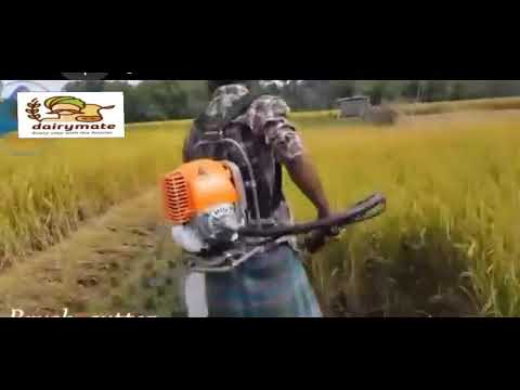 Back Pack Brush Cutter