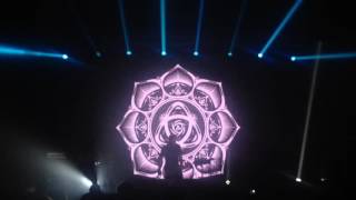 Dub FX - Road to Babylon (Live in Saint-Petersburg 2016)