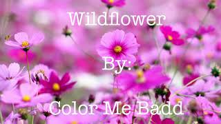 Color Me Badd - Wildflower (Lyrics)