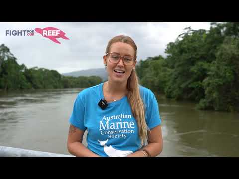 2nd YouTube video about how can pollution be found in greater amounts