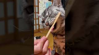 あたまキーン（一塁打）