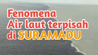Download lagu Fenomena air laut Suramadu terpisah mp3 Download lagu Fenomena air laut Suramadu terpisah mp3