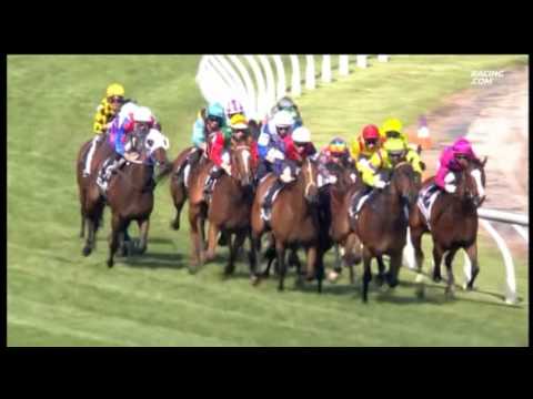 Group 1 Myer Classic - Politeness