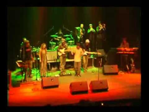 Lone Ark Cool & Calm