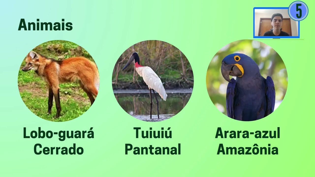 Aula 27 - Biodiversidade do Centro-Oeste