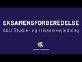 Eksamensforberedelse