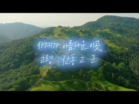 하늘에서 본 고령 지산동 고분군[유네스코 세계유산 등재]