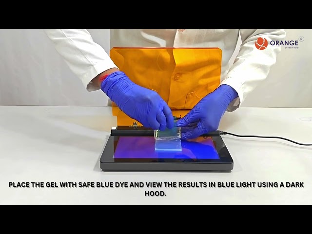Uv Translite UV Transilluminator - UV Transilluminator BLB Research Manufacturer ...