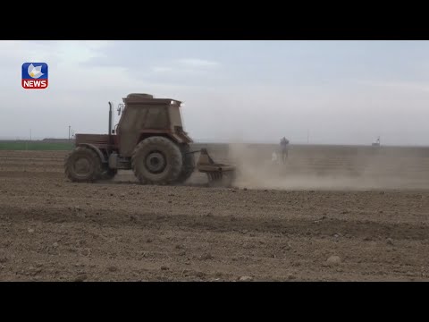 بەڤیدیۆ.. سەرەڕای کەمی بارانبارین جوتیارانی خورماتوو دەستیانکردووە بە کێڵان و تۆوکردنی زەوییەکانیان