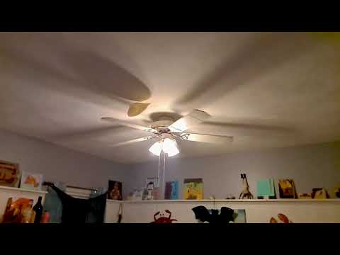 dead ass just a fucking tortilla