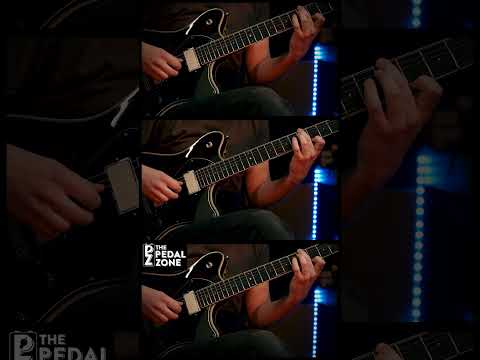 GFI System Skylar Reverb image 4