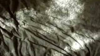 Maurizio Bianchi on my bed in my room in Brussels