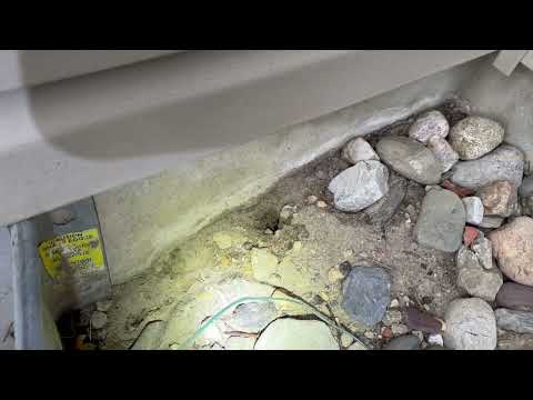 Rat Burrows Found Near the Crawl Space in Middlesex, NJ