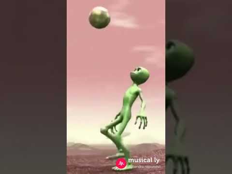 dame to cosita new