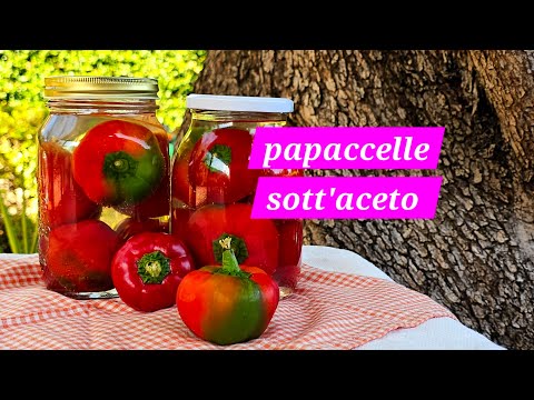 Papaccelle sott'aceto @Rosariarinaldi_speedychef