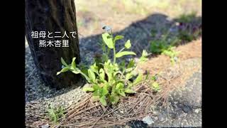祖母と二人で／熊木杏里／cover／A・ギター弾き語り／
