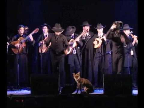 Desertuna (Tuna Academica) -  Ronda a Tuna