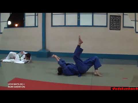 UCHI MATA (N) X SUMI GAESHI (N)