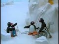 Pingu 15 Minutes 3 Episodes Pingu 27