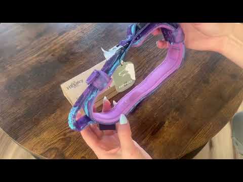 Honest review of Hotsky Tactical Dog Collar with Handle for Large Medium Dogs