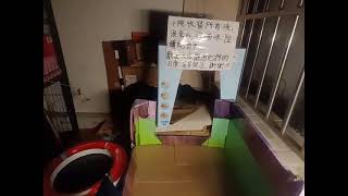 #cat #猫 #cute #貓咪日常 #straycat #橘ひなの #小猫 #可愛い猫 #可愛い#流浪猫 #橘猫#cats #catlife