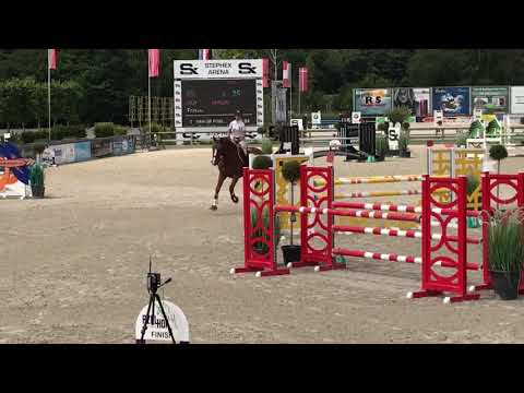 Ferrari BB (Arezzo VDL x Salamon) 1m15 9th place