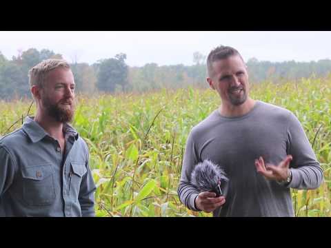 download lagu mp3 mp4 Investing In Farmland In Canada, download lagu Investing In Farmland In Canada gratis, unduh video klip Investing In Farmland In Canada