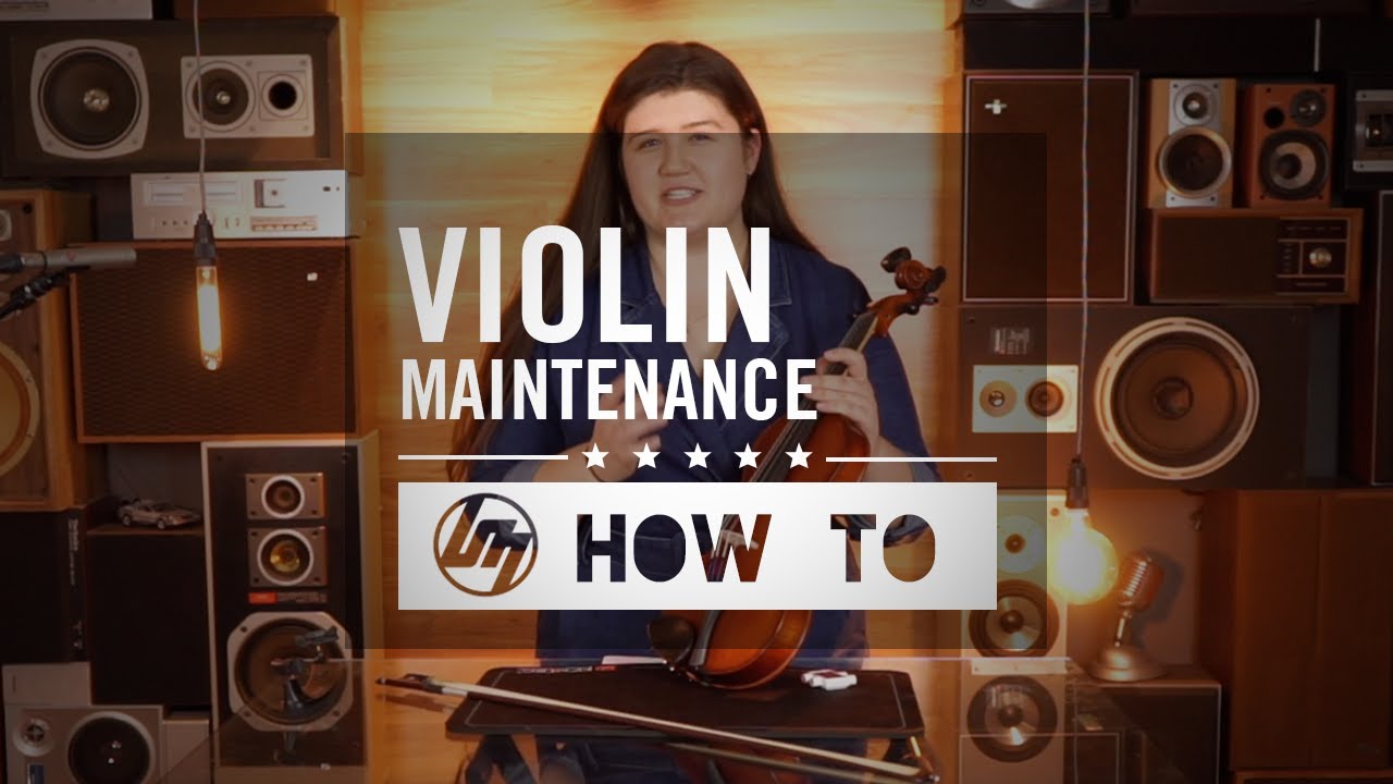 Stentor Student II 4/4 Size Violin Outfit - Antique Chestnut