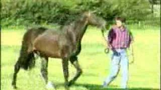 Video von Cor de la Bryère