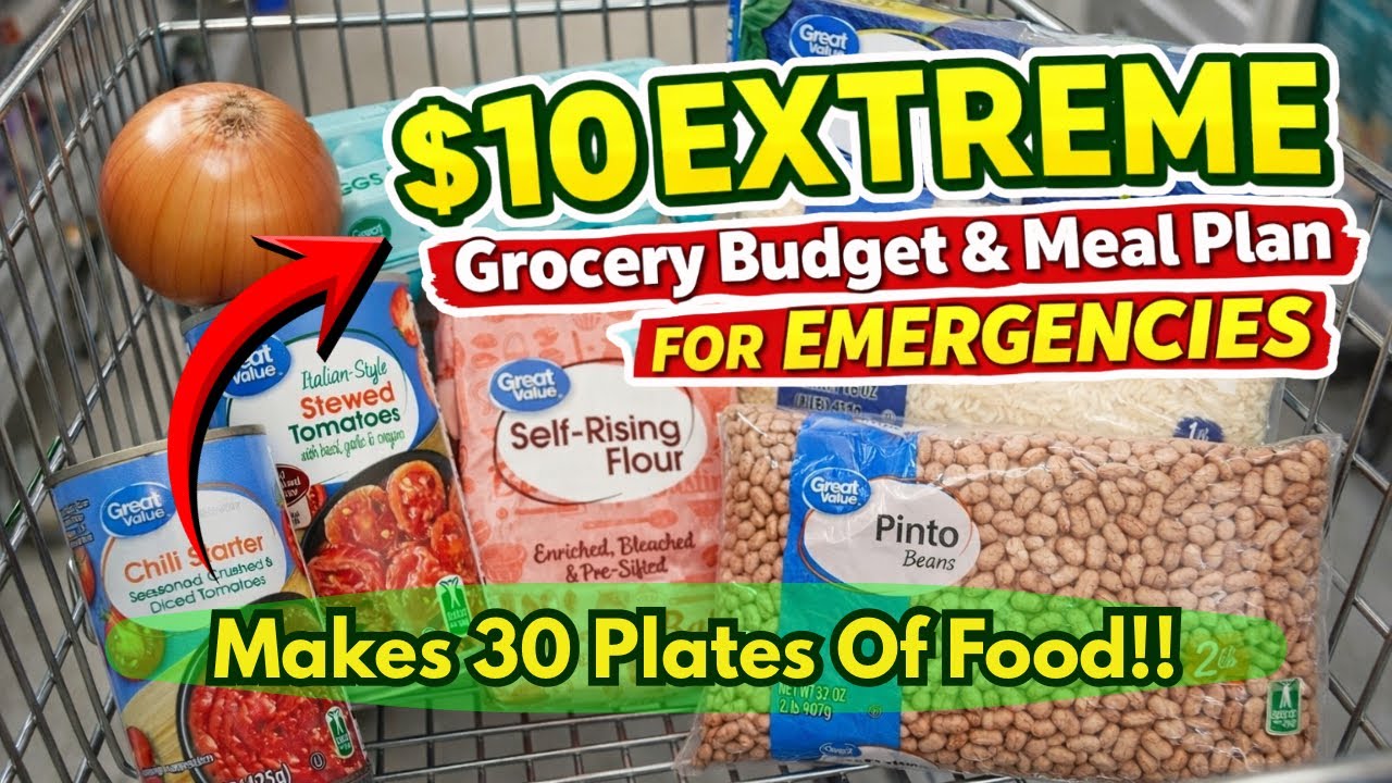 $10 Extreme Grocery Budget & Meal Plan For Emergencies When $$ Is Tight | Tasty+Simple= Full Bellies