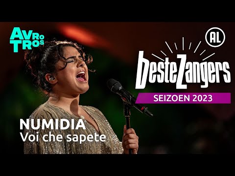 Numidia  - Voi che sapete | Beste Zangers 2023