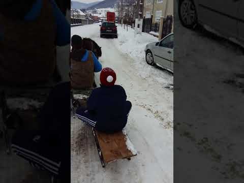 Poneii lui Danut de la Bratca