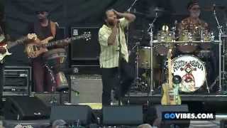 Rainbow In The Sky – Ziggy Marley | Live at Gathering Of The Vibes (2014)