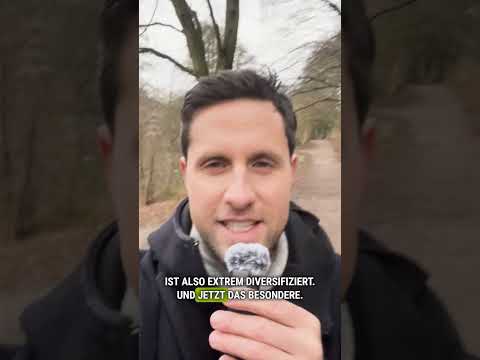 Neuer Welt-ETF von Scalable mit 0 % Gebühren