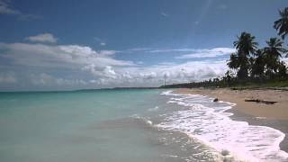 preview picture of video 'Praia de Maragogi _ Alagoas'