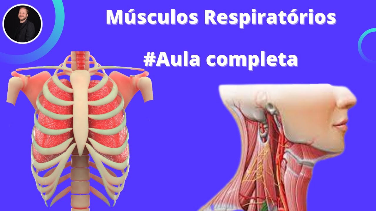 Músculos da respiração - Aula completa