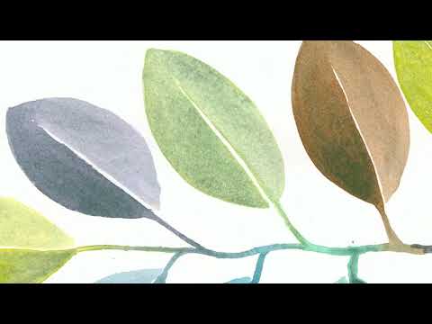 Explora Acuarelas QoR Cobalt Green