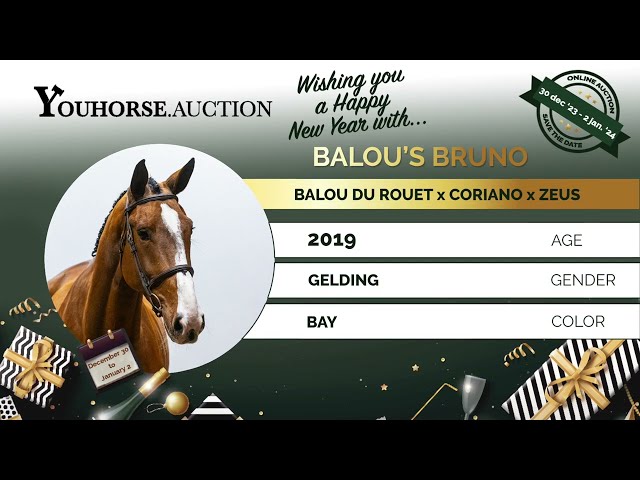 Balou's Bruno @ show outdoor